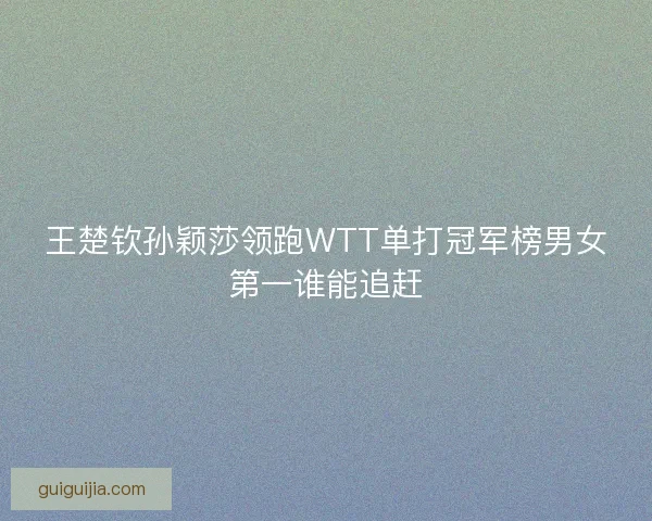 王楚钦孙颖莎领跑WTT单打冠军榜男女第一谁能追赶