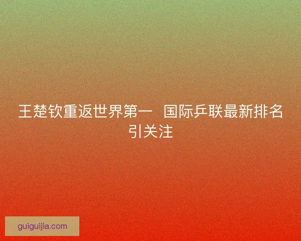 王楚钦重返世界第一  国际乒联最新排名引关注